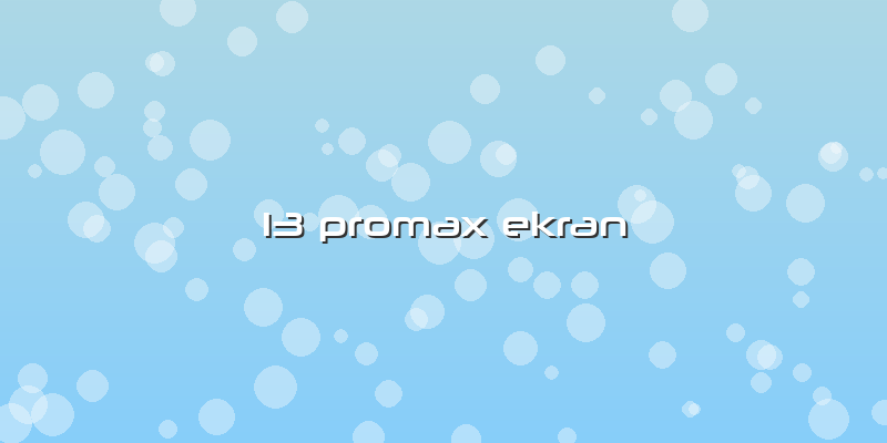 13 Promax Ekran