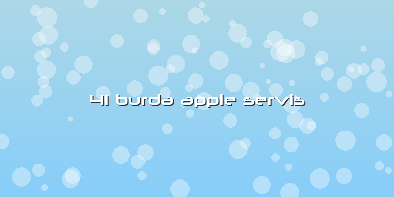 41 Burda Apple Servis