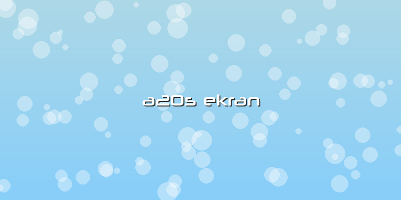 A20s Ekran