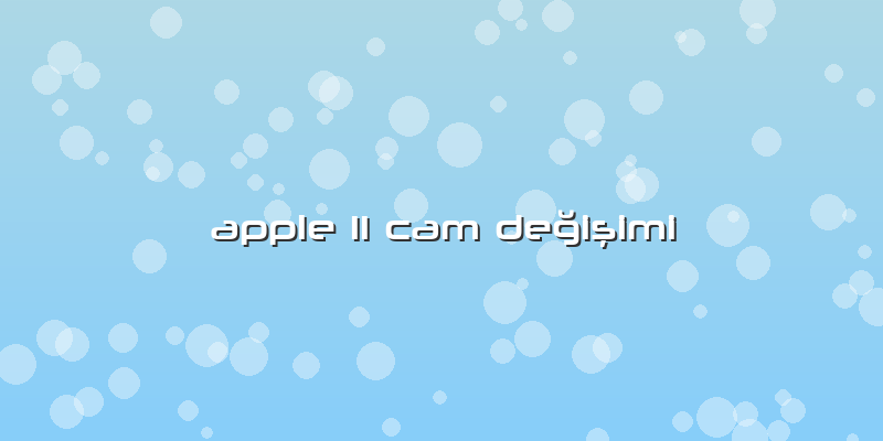 Apple 11 Cam Değişimi