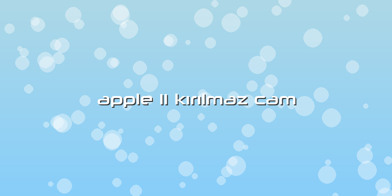 Apple 11 Kırılmaz Cam