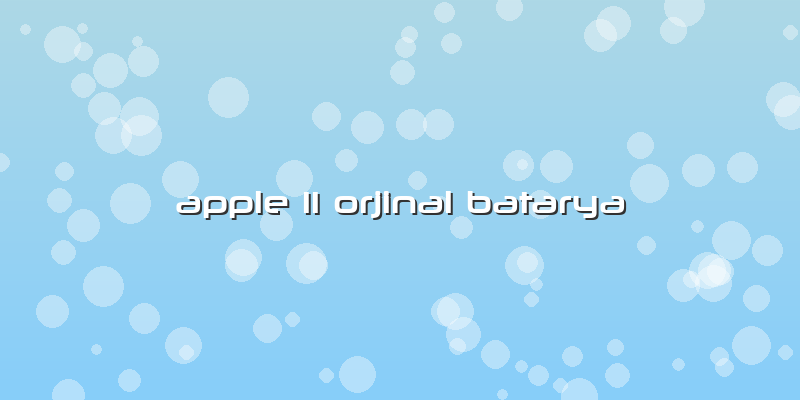 Apple 11 Orjinal Batarya