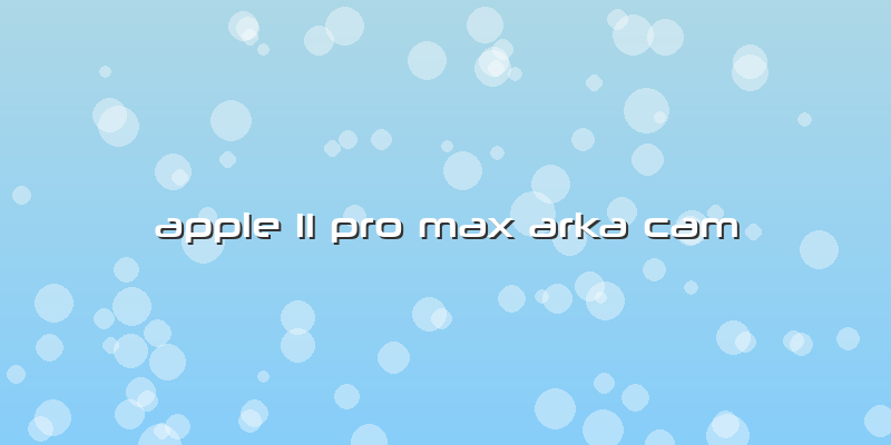 Apple 11 Pro Max Arka Cam