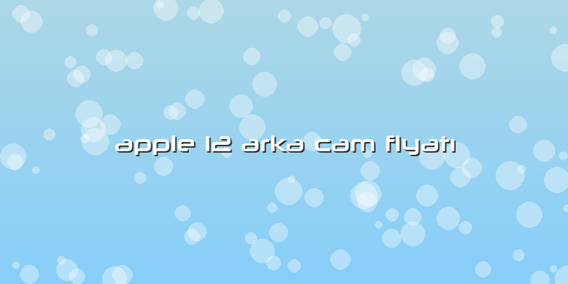 Apple 12 Arka Cam Fiyatı