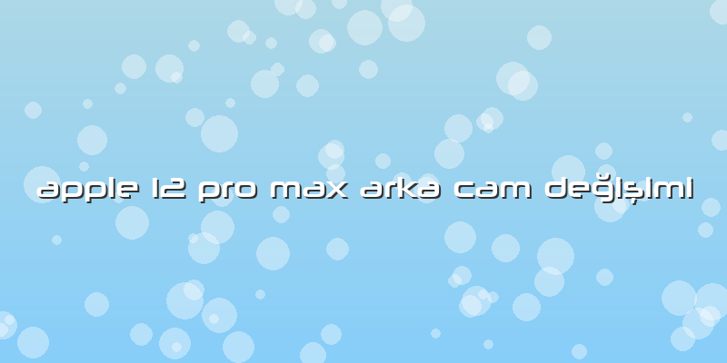 Apple 12 Pro Max Arka Cam Değişimi