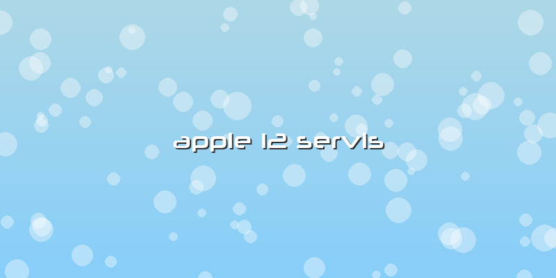 Apple 12 Servis