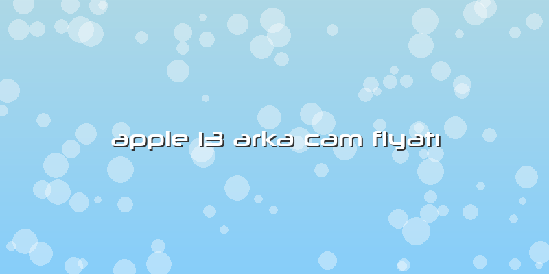 Apple 13 Arka Cam Fiyatı