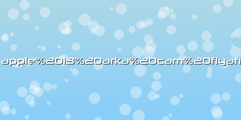 Apple 13 arka cam fiyatı