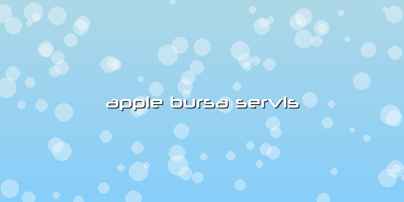Apple Bursa  Servis