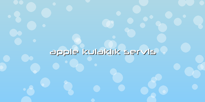 Apple Kulaklık Servis