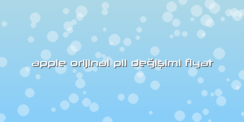 Apple Orijinal Pil Değişimi Fiyat