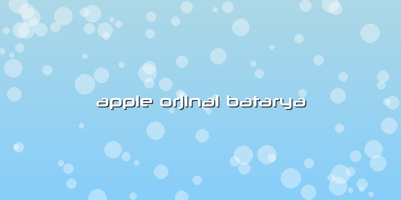 Apple Orjinal Batarya