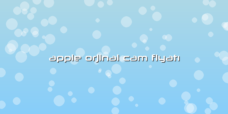 Apple Orjinal Cam Fiyatı