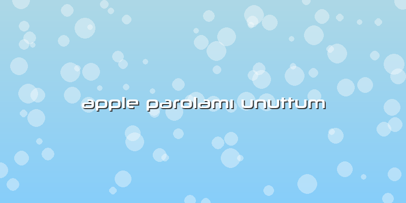 Apple Parolamı Unuttum