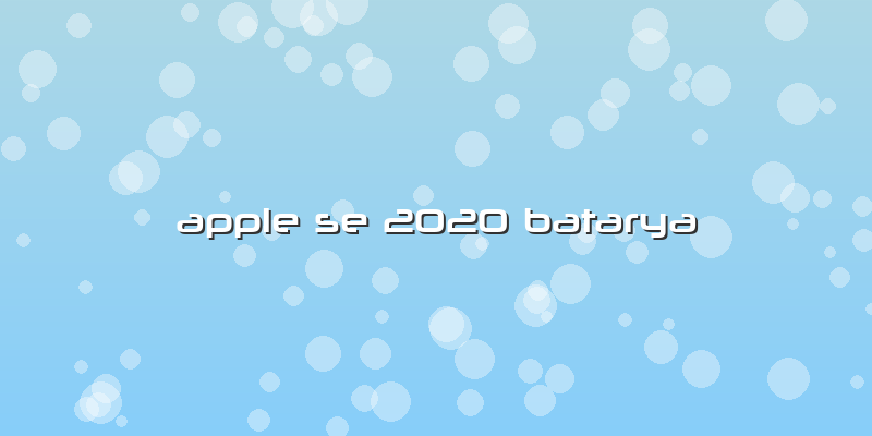 Apple Se 2020 Batarya