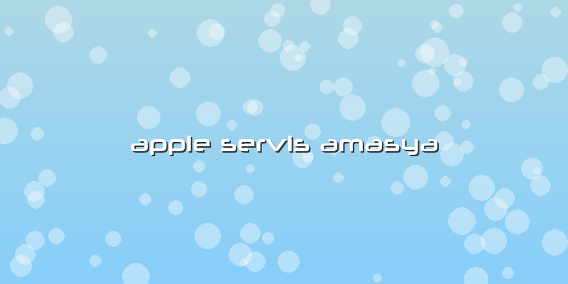 Apple Servis Amasya