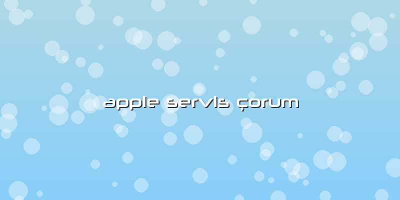 Apple Servis çorum