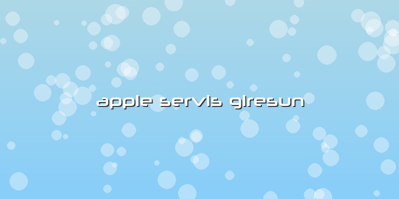 Apple Servis Giresun