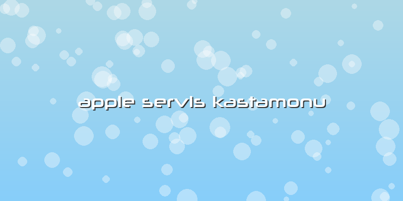 Apple Servis Kastamonu
