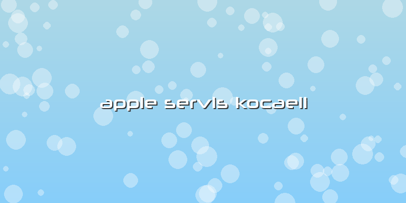 Apple Servis Kocaeli