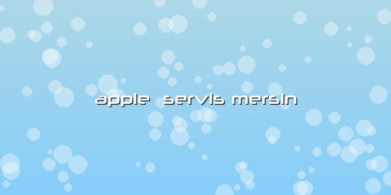 Apple Servis Mersin