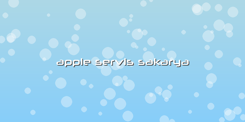 Apple Servis Sakarya