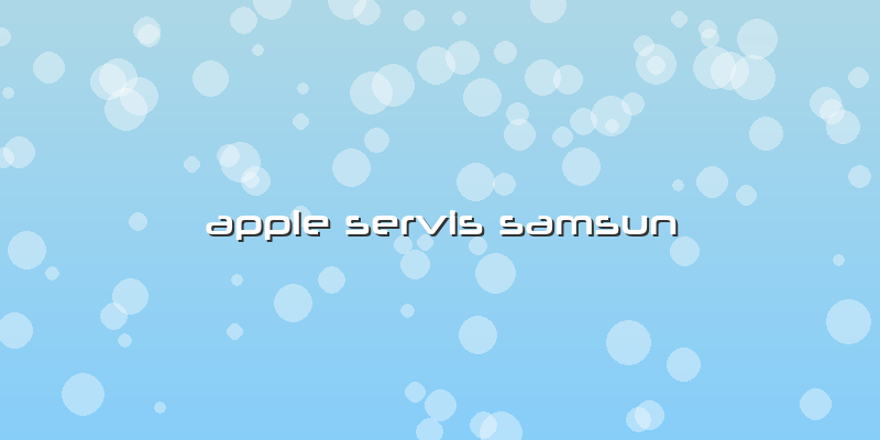 Apple Servis Samsun