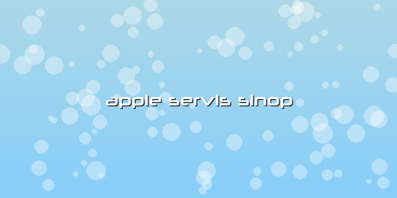 Apple Servis Sinop
