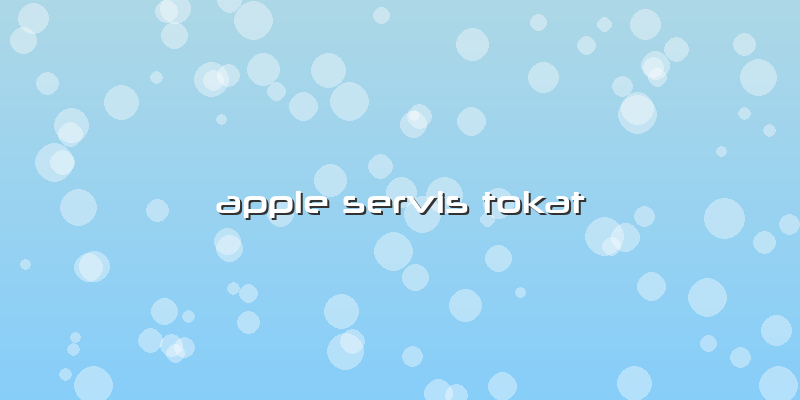 Apple Servis Tokat