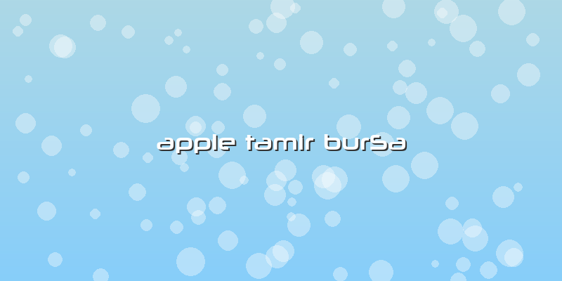 Apple Tamir BurSa
