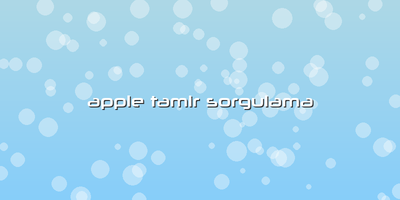 Apple Tamir Sorgulama