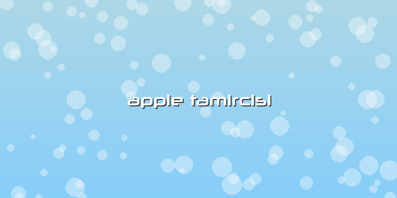 Apple Tamircisi