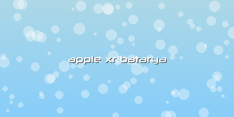 Apple Xr Batarya