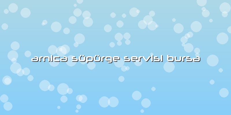 Arnica Süpürge Servisi Bursa