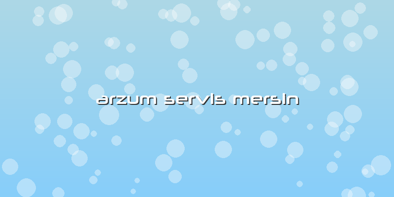 Arzum Servis Mersin