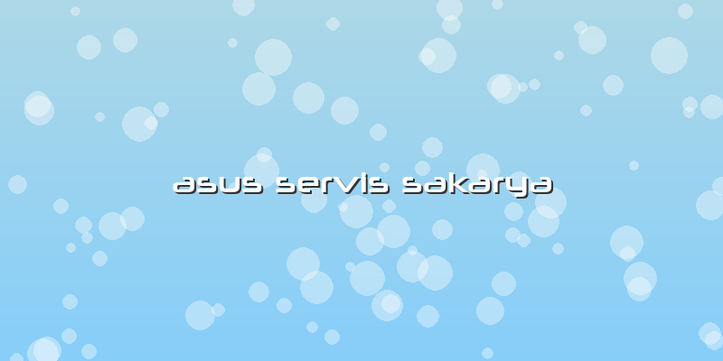 Asus Servis Sakarya