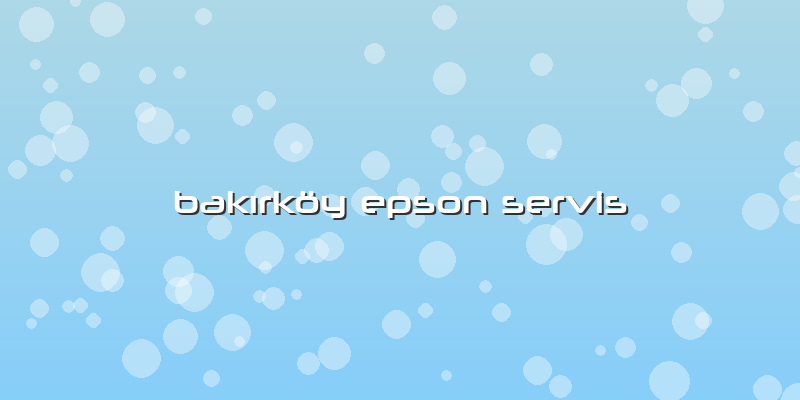 Bakırköy Epson Servis