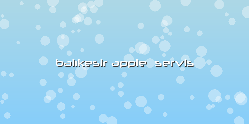 Balıkesir Apple  Servis