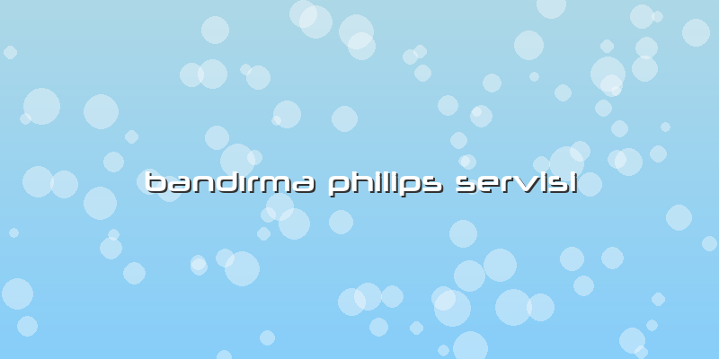 Bandırma Philips Servisi
