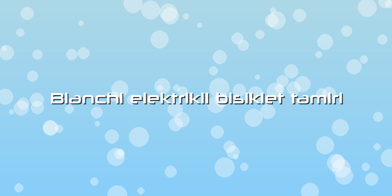 Bianchi Elektrikli Bisiklet Tamiri