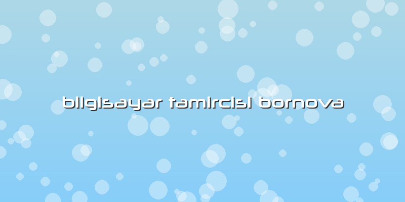 Bilgisayar Tamircisi Bornova