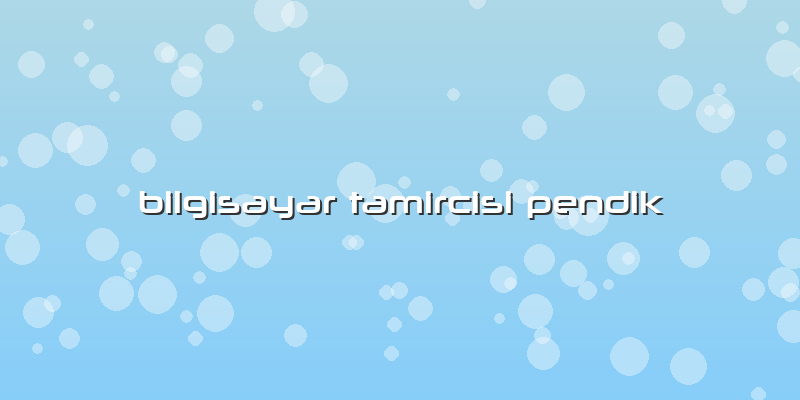 Bilgisayar Tamircisi Pendik