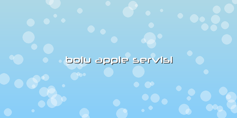 Bolu Apple Servisi