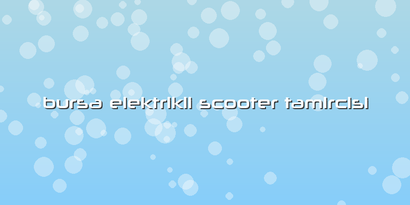 Bursa Elektrikli Scooter Tamircisi