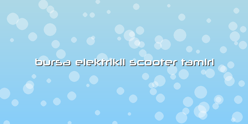 Bursa Elektrikli Scooter Tamiri