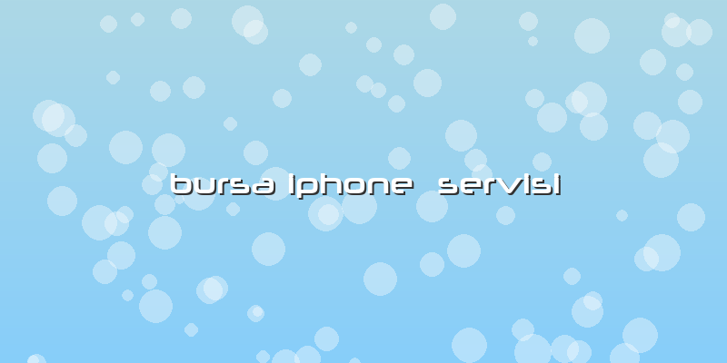 Bursa Iphone  Servisi