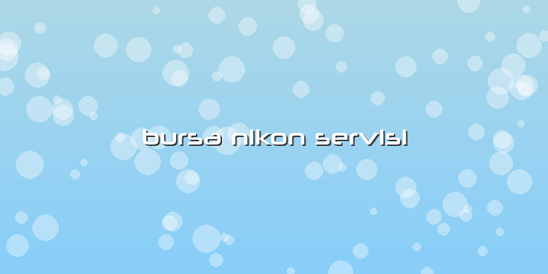 Bursa Nikon Servisi