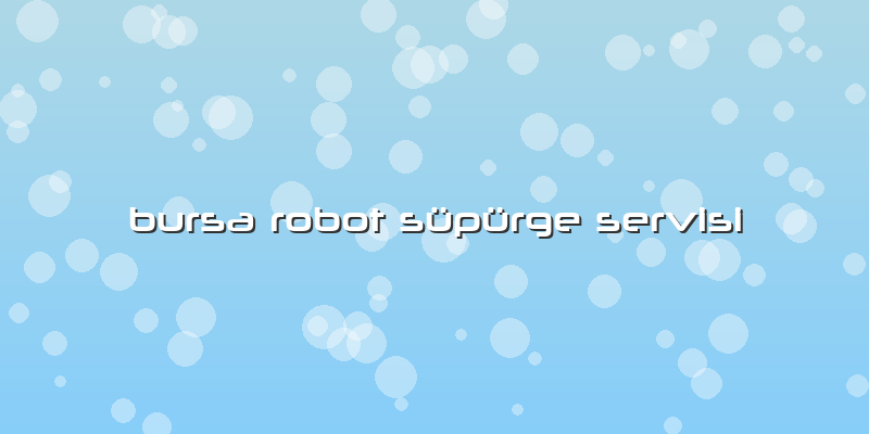 Bursa Robot Süpürge Servisi