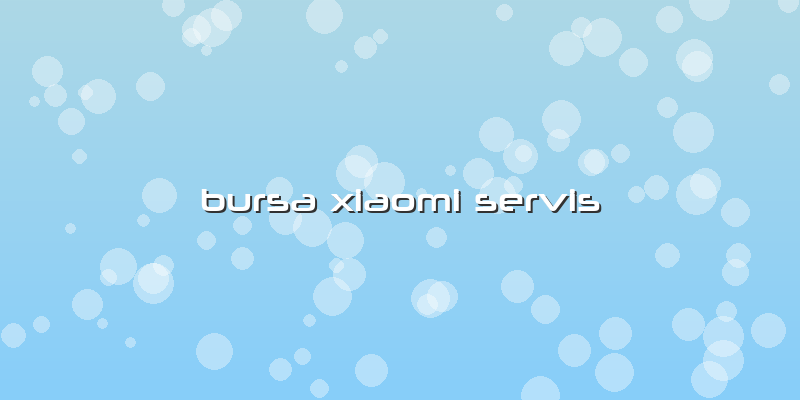 Bursa Xiaomi Servis