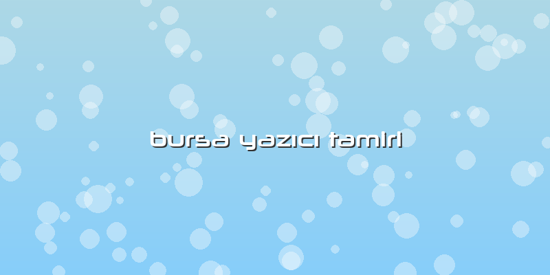 Bursa Yazıcı Tamiri